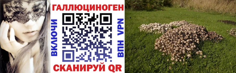 Галлюциногенные грибы GOLDEN TEACHER  Купить  Малмыж 